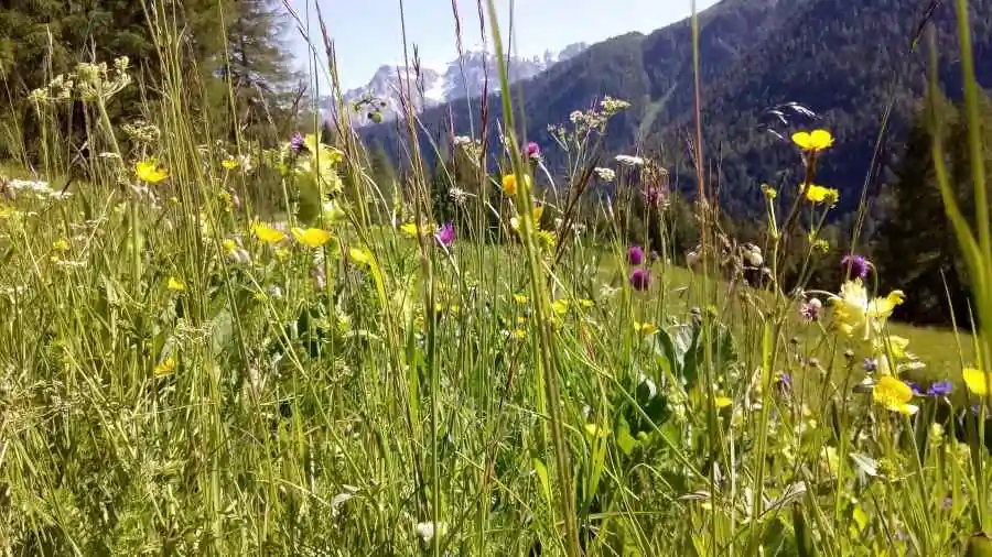 Therapiemethoden - Psychotherapeutische Privat-Praxis Jacobs